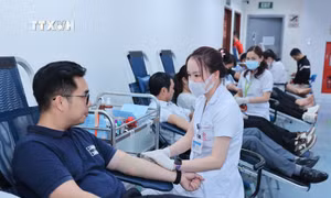 Những “sứ giả” của Lễ hội Xuân hồng 2024​