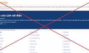 Ảnh chụp màn hình giao diện trang web giả mạo thông tin về lịch ngừng, giảm cung cấp điện tại các tỉnh, thành phố phía Bắc https://lichcatdien.com/. Ảnh: DTMN