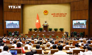 Thông cáo báo chí số 15, Kỳ họp thứ 7, Quốc hội khóa XV