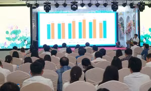Quang cảnh Hội nghị. Ảnh: Bích Huệ - TTXVN