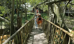 Du khách tham quan điểm du lịch cầu treo Buôn Đôn. Ảnh: Vũ Sinh - TTXVN