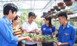 Trần Minh Huân khởi nghiệp từ niềm đam mê vẻ đẹp các loài hoa