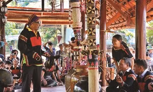 Ngày nay, tục kết nghĩa của người Ê-đê được tổ chức đơn giản hơn. Lễ vật bao gồm một con gà trống, ít nhất một ché rượu cần và hai chiếc vòng đeo tay để làm kỷ vật cho đôi bên. Ảnh: Dương Giang