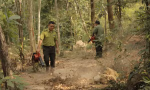 Bà Rịa-Vũng Tàu chủ động ứng phó với sự cố cháy rừng trong mùa khô