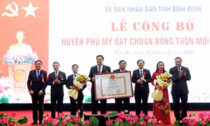 Phó Thủ tướng Hồ Đức Phớc dự lễ công nhận huyện Phù Mỹ đạt chuẩn nông thôn mới