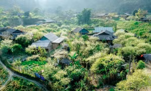 Giấc mơ trên “cổng trời” Mường Lống