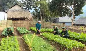 Mô hình "Bản sáng vùng biên" góp phần đổi thay bản làng biên giới ở Thanh Hóa