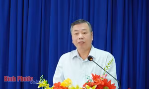 Thi hành kỷ luật Phó Chủ tịch UBND tỉnh Bình Phước Huỳnh Anh Minh
