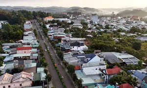 Đưa vùng "đất lửa" Bình Phước "nở hoa, cất cánh"