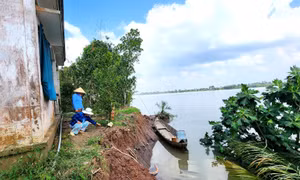 Người dân bất an khi cồn Thanh Long (Vĩnh Long) bị sạt lở