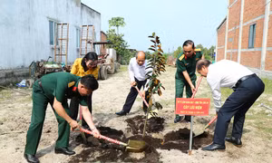 Xuân về trên những ngôi nhà liền kề chốt dân quân biên giới ở Long An