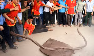 Đặc sắc trò chơi pháo đất Ninh Giang