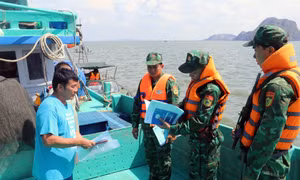 Kiên Giang xây dựng biên giới hòa bình, khai thác tiềm năng kinh tế cửa khẩu, kinh tế biển