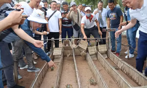Trà Vinh phát triển du lịch nông thôn gắn với bản sắc văn hóa, bền vững