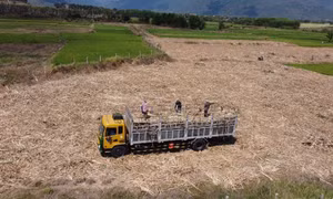 Sự "chuyển mình" trong nông thôn mới ở Khánh Hòa (Bài cuối)
