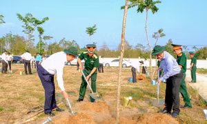 Cần Thơ sẽ trồng trên 1,4 triệu cây xanh phân tán