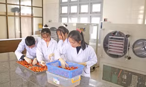 "Biến hóa" hợp lý, nâng tầm giá trị nông sản Đà Lạt