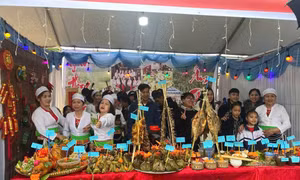 Liên hoan văn hóa "Phụ nữ dân tộc thiểu số hành động vì bình đẳng giới" năm 2025