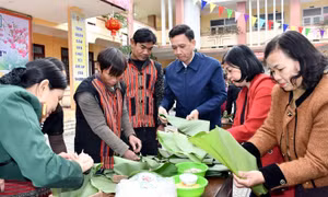 Tổ chức Chương trình “Xuân ấm áp - Tết sum vầy” Xuân Ất Tỵ 2025 tại Quảng Bình