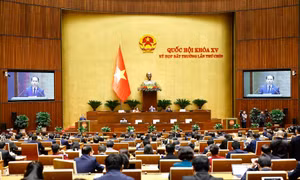 Kỳ họp bất thường lần thứ 9, Quốc hội khóa XV: Biểu quyết thông qua Luật Tổ chức Chính phủ (sửa đổi)
