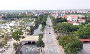 3 huyện, thành phố đạt chuẩn nông thôn mới và nông thôn mới nâng cao