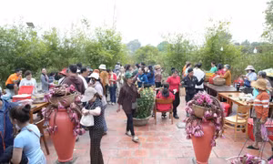 Độc đáo phiên chợ người mua, người bán giao dịch bằng lá cây ở Tây Ninh