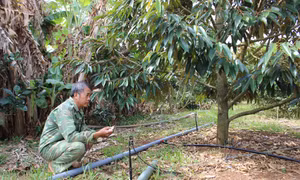 Gia Lai xây dựng các cơ chế, chính sách phát triển nông nghiệp tuần hoàn