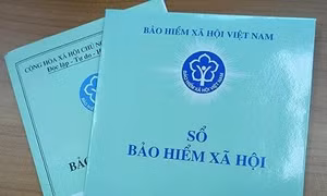 Những chính sách mới nổi bật có hiệu lực trong tháng 3/2025