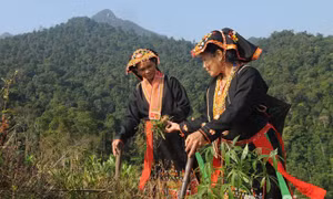 Bắc Giang thực hiện hiệu quả các chương trình, chính sách dân tộc