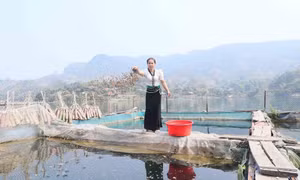 Phụ nữ vùng cao Pá Ma Pha Khinh xóa đói giảm nghèo