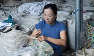 Chị Trương Thị Hân với hành trình xanh đưa sản phẩm cói truyền thống vươn xa