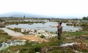 Thanh Hóa: Nhiều diêm dân bỏ hoang đồng muối