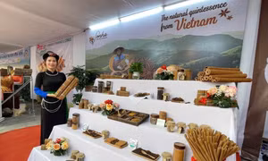 Nhiều hoạt động đặc sắc tại Lễ hội Quế Văn Yên