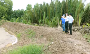 Sóc Trăng ứng phó hạn, mặn khi mùa khô sắp vào cao điểm
