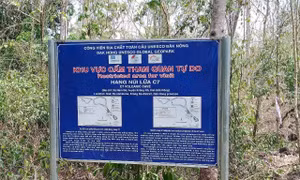 Người dân không tự ý tham quan, thám hiểm các hang động núi lửa Krông Nô
