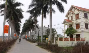 Xây dựng nông thôn mới nâng cao, kiểu mẫu tại "quê lúa" Thái Bình