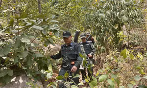 Gian nan bảo vệ rừng vùng biên giới Tây Nam