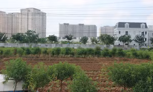 Các trường hợp được đề xuất miễn, giảm tiền sử dụng đất, tiền thuê đất
