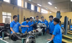 Quy định tiêu chí, tiêu chuẩn kiểm định chất lượng giáo dục nghề nghiệp