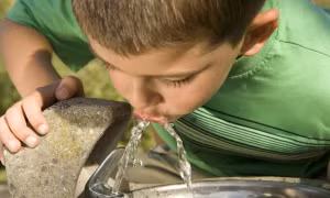 Phát hiện tác hại của khoáng chất Fluoride đến IQ của trẻ