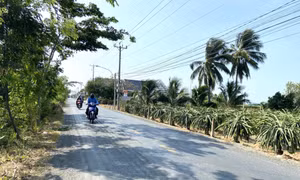 2 huyện của Long An và Đồng Nai đạt chuẩn nông thôn mới nâng cao​