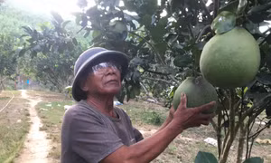Gắn kết bền chặt giữa Đảng với đồng bào dân tộc thiểu số ở Khánh Hòa