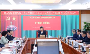 Đề nghị kỷ luật nguyên Phó Thủ tướng Thường trực Trương Hòa Bình