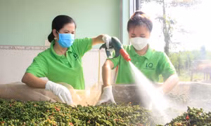 Từ vị trí “dự trữ”, Bình Phước đang trở thành “động lực” phát triển của toàn vùng