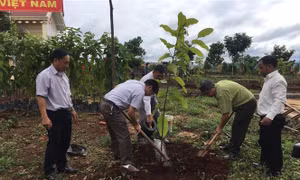 Các đại biểu tham dự Lễ phát động trồng cây phân tán năm 2020 trồng cây lưu niệm tại tại xã Đăk Smơi, huyện Đăk Đoa (Gia Lai). Ảnh: Hồng Điệp - TTXVN 