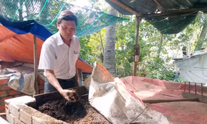 Sử dụng phân hữu cơ trong sản xuất nông nghiệp đạt hiệu quả cao