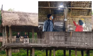 Quảng Ngãi cần sớm duy tu, sửa chữa khu nhà sàn Làng Teng