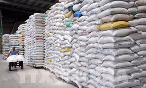 Xuất cấp gạo cho tỉnh Bắc Kạn, Kon Tum dịp Tết Nguyên đán Quý Mão và giáp hạt năm 2023