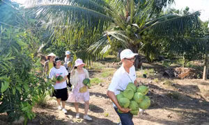 Bình Thuận triển khai chương trình kích cầu du lịch năm 2021