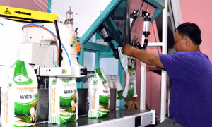 Trà Vinh xuất khẩu sản phẩm "Gạo Quê tôi" 
